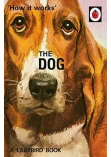How It Works: The Dog
