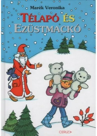 Télapó és ezüstmackó (2. kiadás) §K