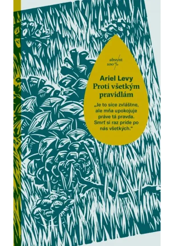 Ariel Levy - Proti všetkým pravidlám