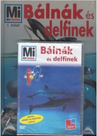 BÁLNÁK ÉS DELFINEK