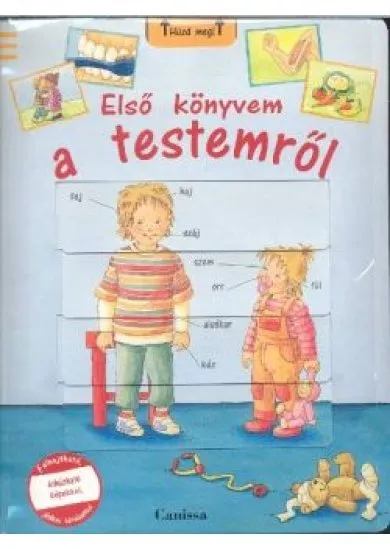 ELSŐ KÖNYVEM A TESTEMRŐL /KIHÚZHATÓ KÉPEKKEL