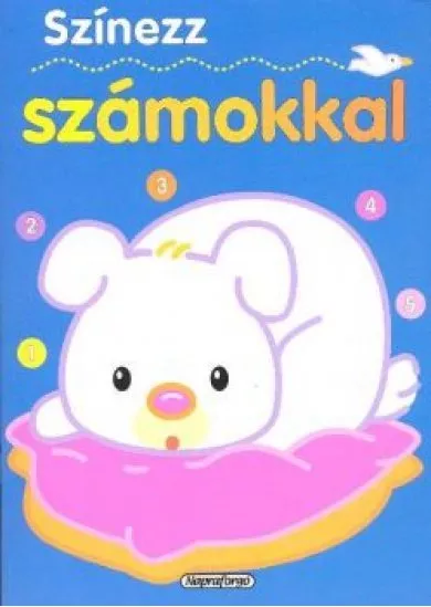 SZÍNEZZ SZÁMOKKAL