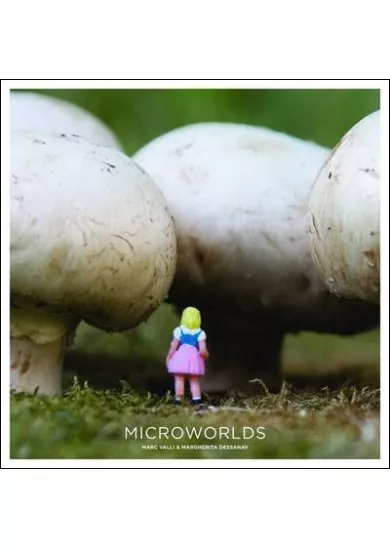 Microworlds