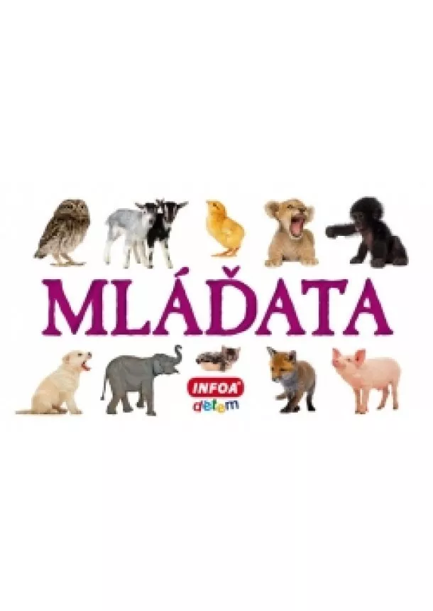 autor neuvedený - Skládanka - Mláďata