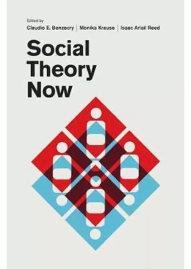 Social Theory Now
