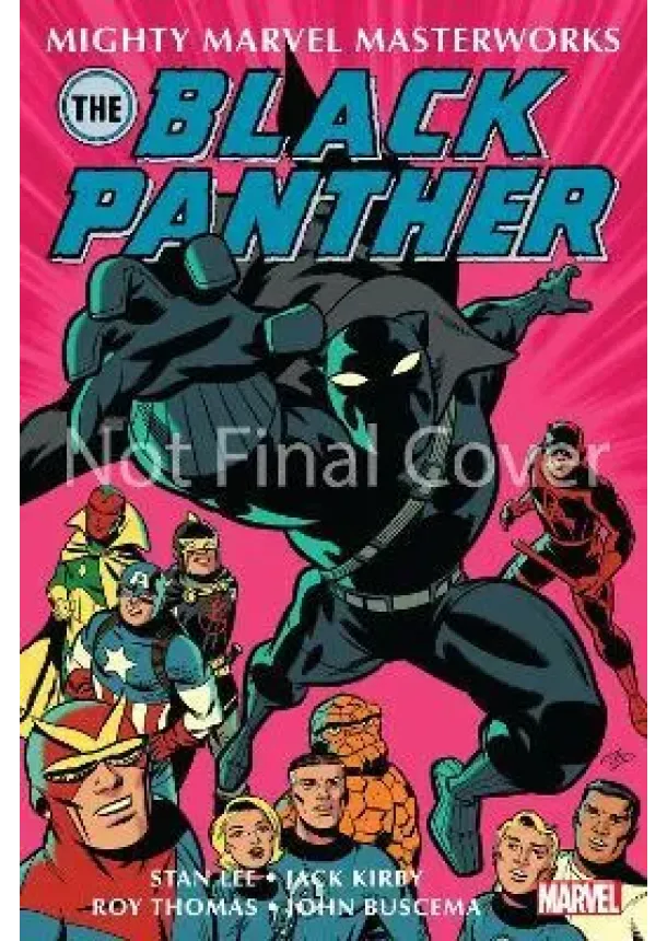 The Black Panther 2 - Look Homeward