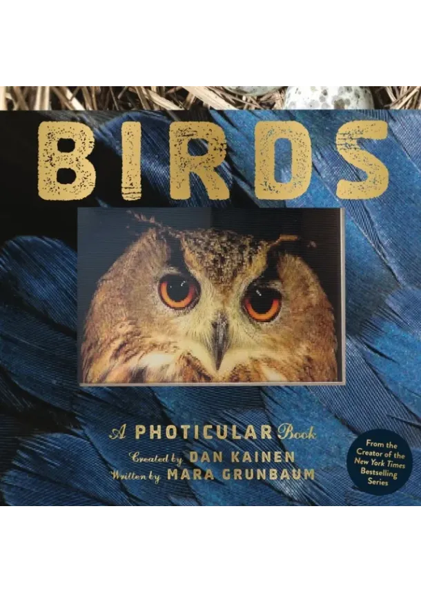 Dan Kainen, Mara Grunbaum - Birds