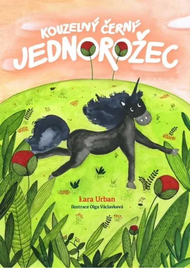 Lara Urban - Kouzelný černý jednorožec