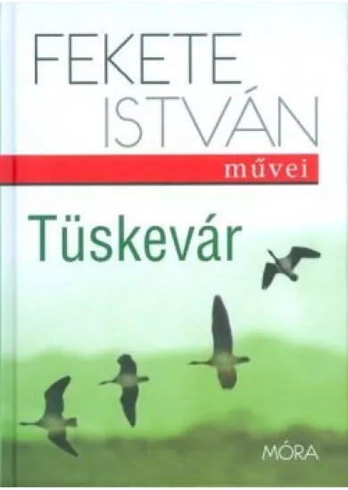 TÜSKEVÁR (17. KIADÁS)