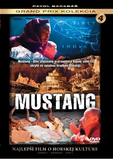 Mustang - 4