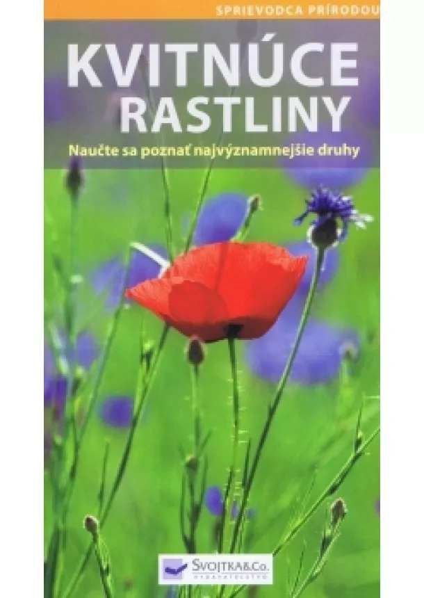 Kolektív autorov - Kvitnúce rastliny