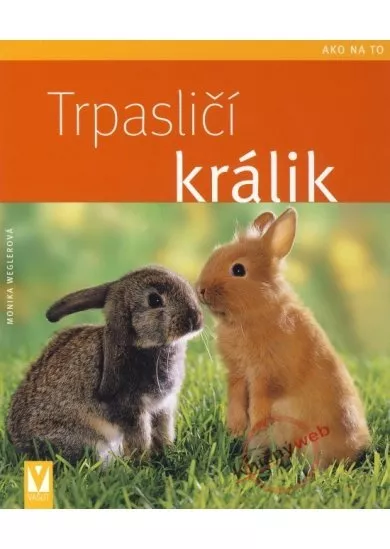 Trpasličí králik - Ako na to