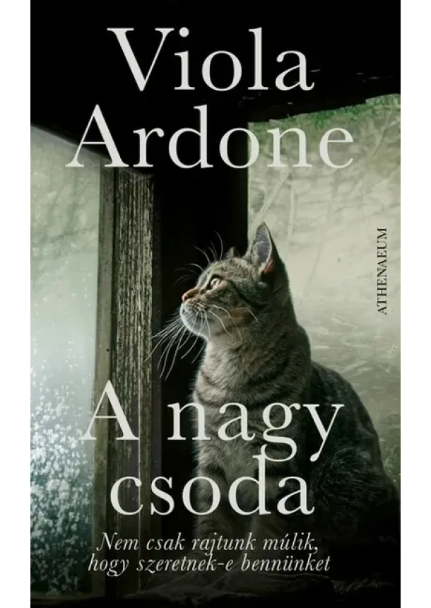 Viola Ardone - A nagy csoda