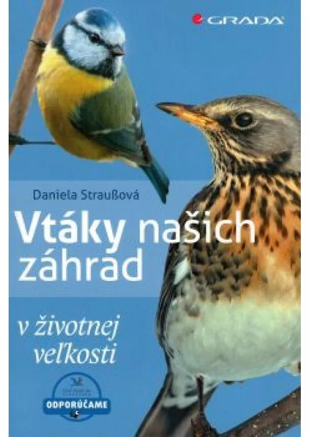 Daniela Straußová - Vtáky našich záhrad
