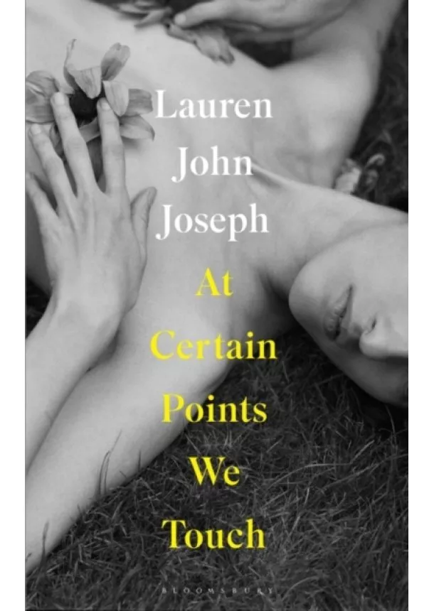 Lauren John Joseph - At Certain Points We Touch