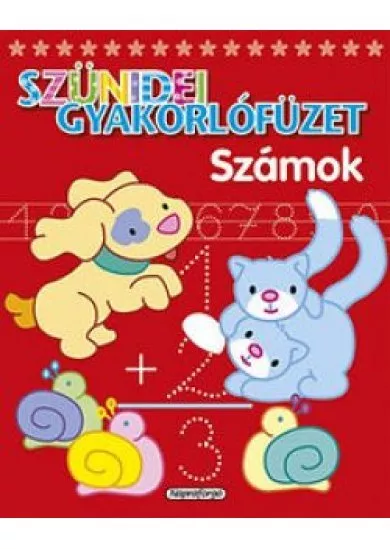 Szünidei gyakorlófüzet - Számok