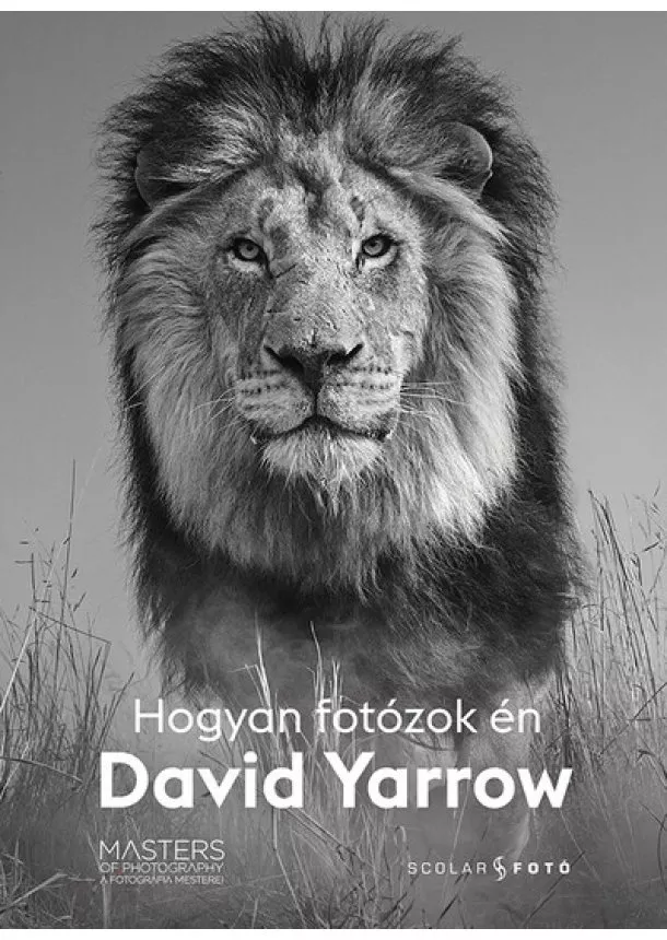 David Yarrow - Hogyan fotózok én - David Yarrow - A fotográfia mesterei