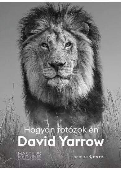 Hogyan fotózok én - David Yarrow - A fotográfia mesterei