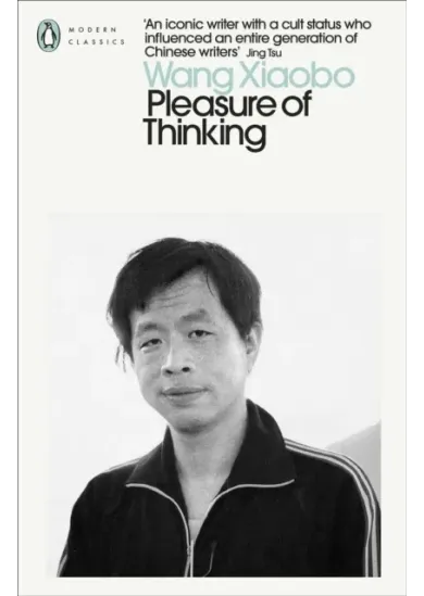 Pleasure of Thinking