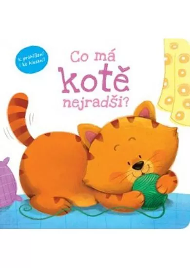 Co má kotě nejradši?