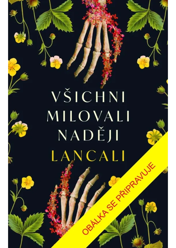 Lancali - Všichni milovali naději
