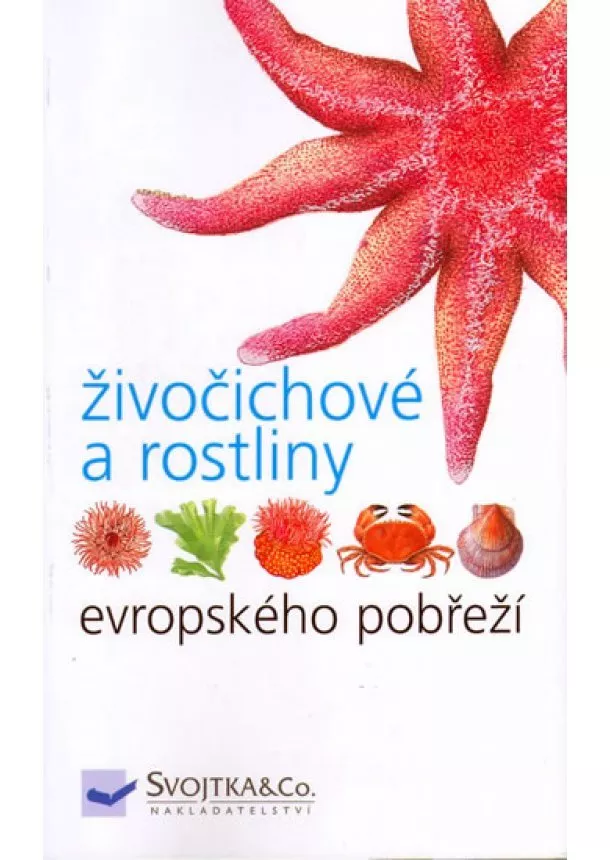 autor neuvedený - Živočichové a rostliny evropského pobřeží