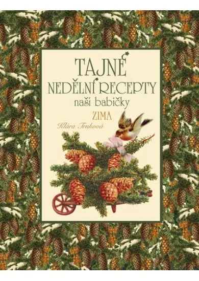 Tajné nedělní recepty naší babičky - Zima