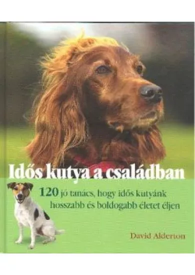 IDŐS KUTYA A CSALÁDBAN