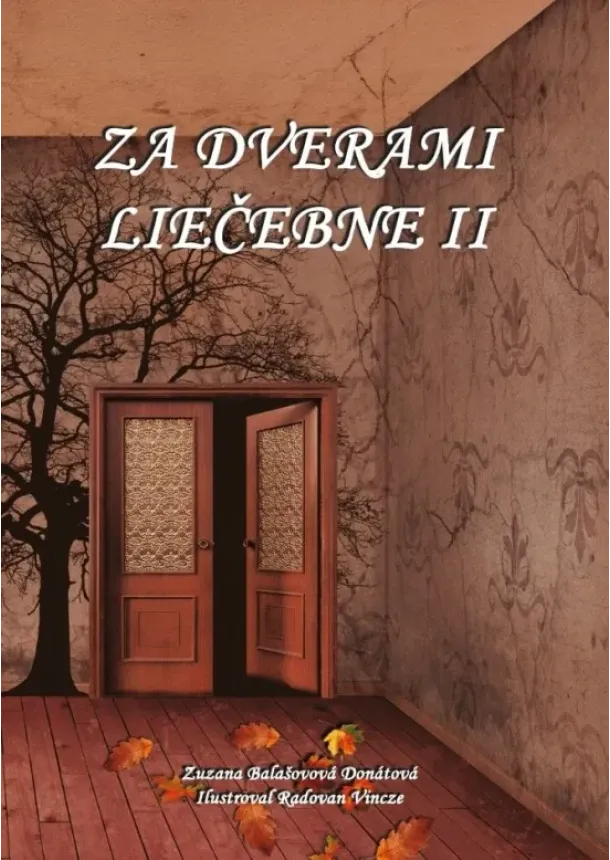 Za dverami liečebne II.