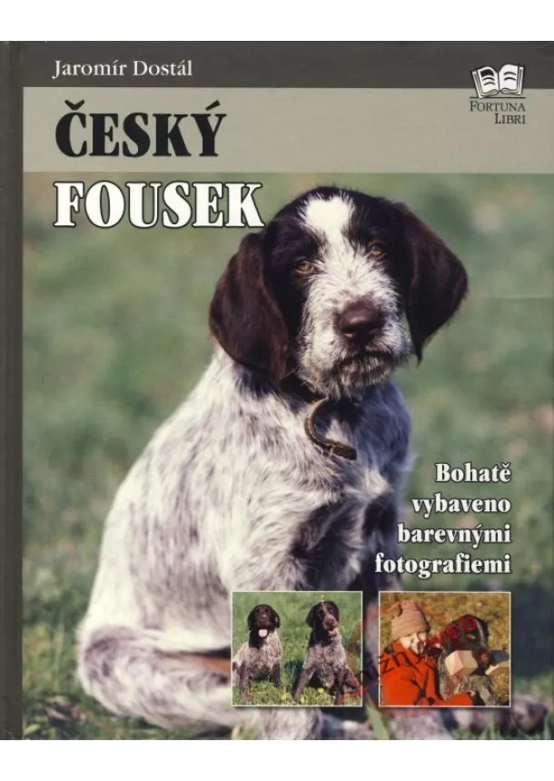 Jaromír Dostál - Český fousek