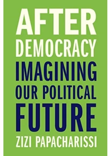 After Democracy: Imagining Our Political Future