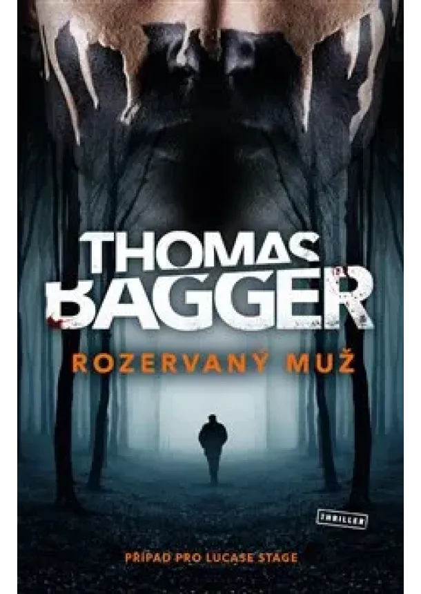 Thomas Bagger - Rozervaný muž