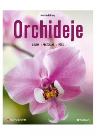 Orchideje - Druhy, pěstování, péče