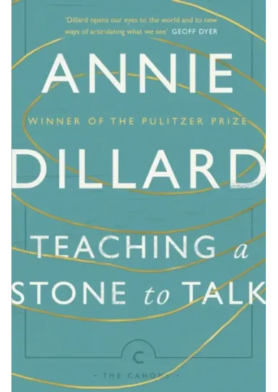 Teaching a Stone to Talk