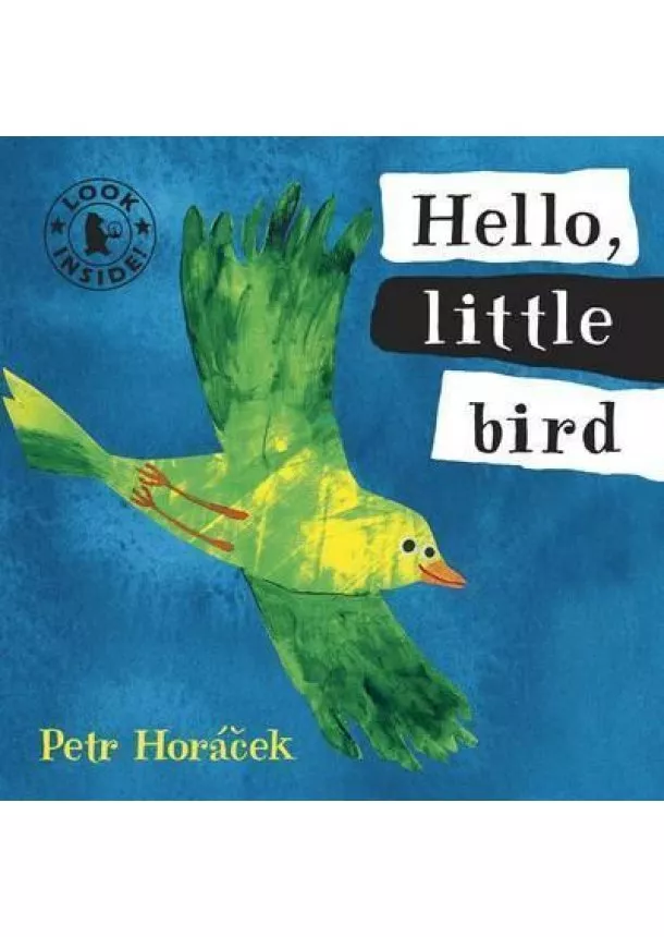 Petr Horacek - Hello, Little Bird