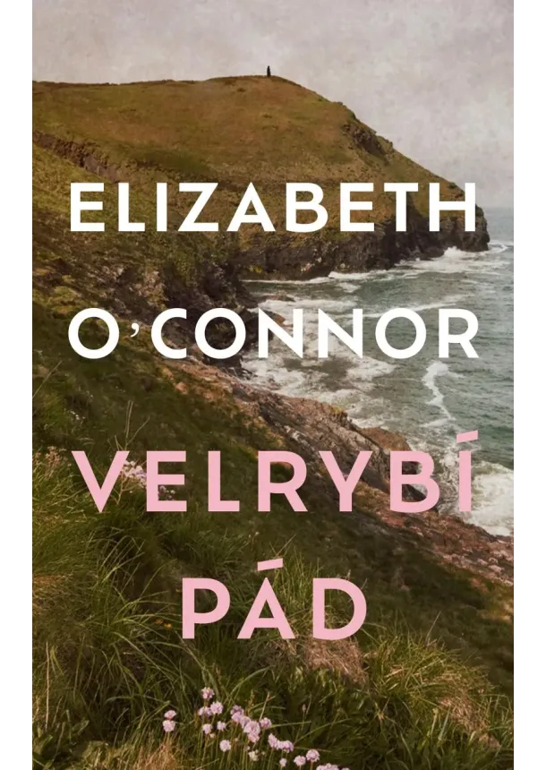 Velrybí pád