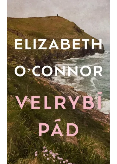 Velrybí pád