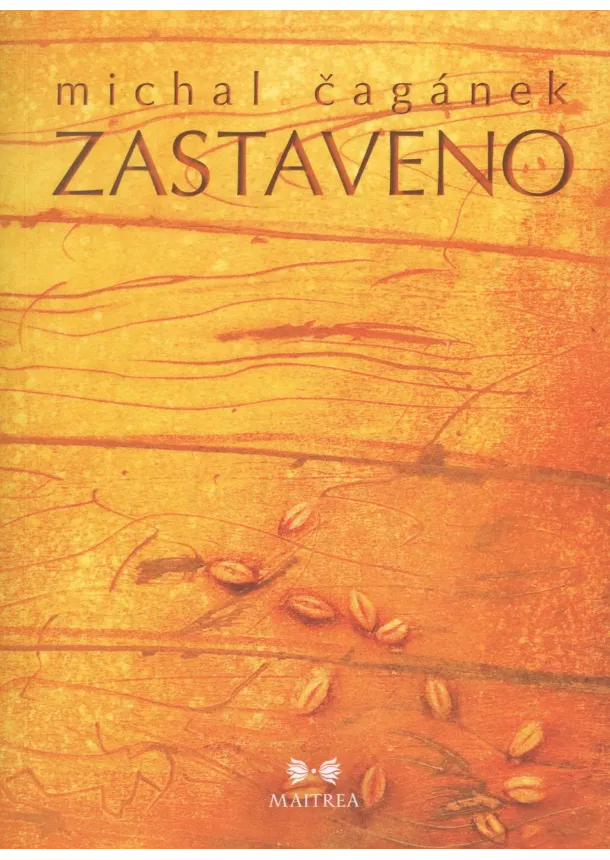 Michal Caganek - Zastaveno
