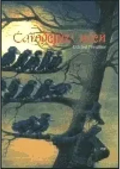 Čarodějův učeň
