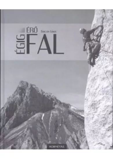 ÉGIG ÉRŐ FAL