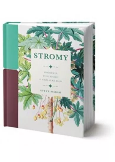 Stromy