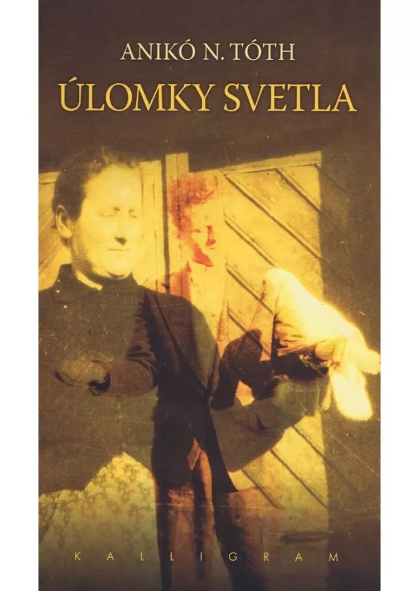 Anikó N. Tóth - Úlomky svetla