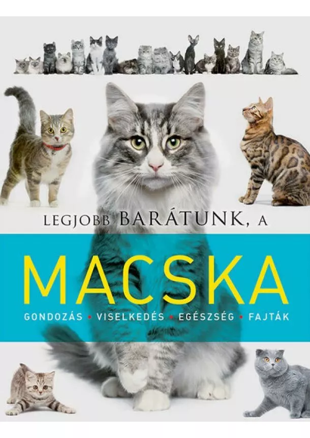 Laura Aceti - Legjobb barátunk a macska - Legjobb barátunk...