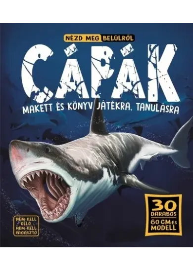 Nézd meg belülről - Cápák