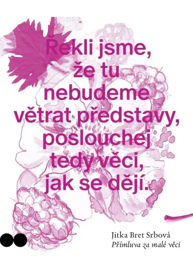 Přímluva za malé věci