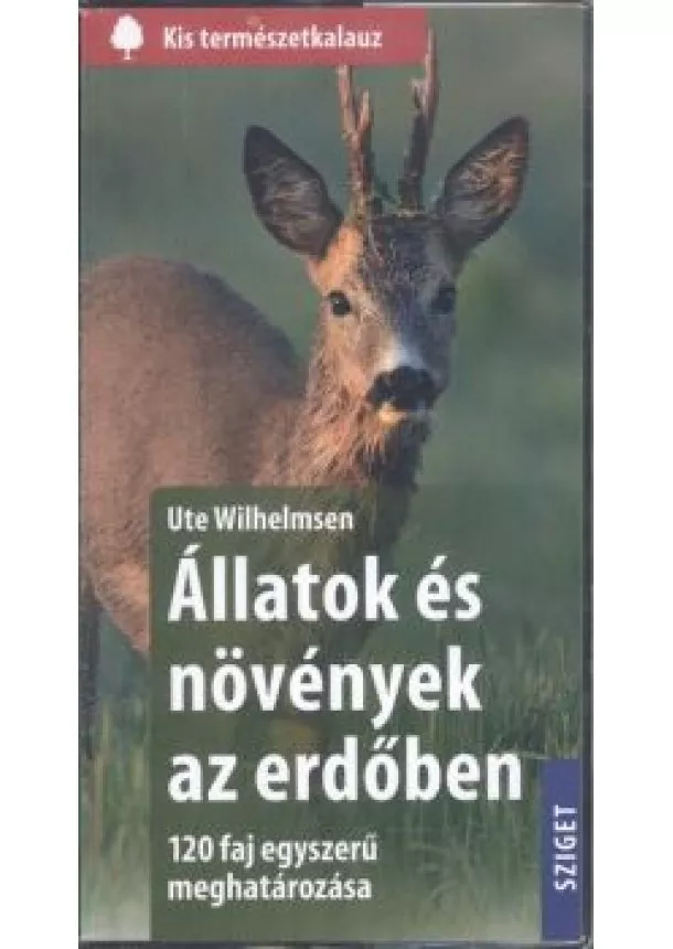 Ute Wilhelmsen - Állatok és növények az erdőben - 120 faj egyszerű meghatározása