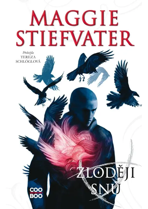 Maggie Stiefvater - Zloději snů