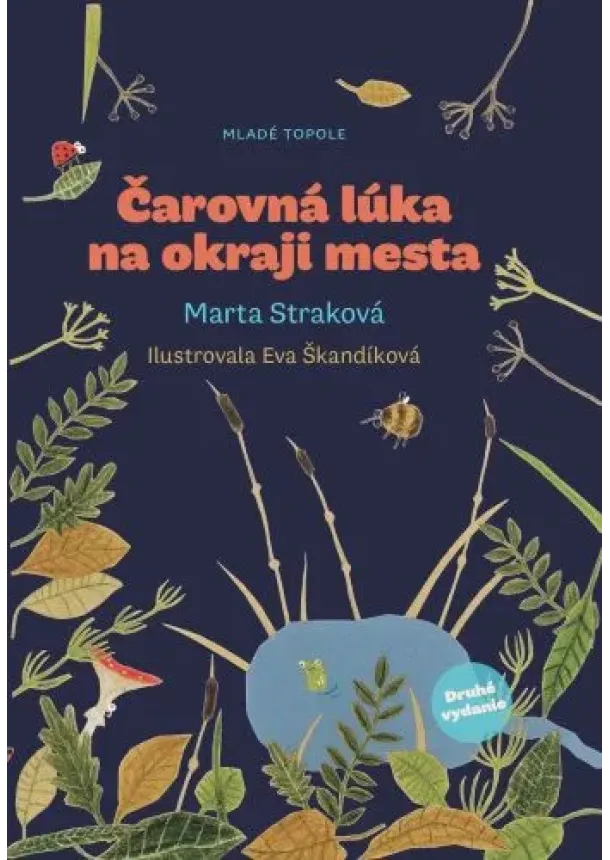 Marta Straková - Čarovná lúka na okraji mesta