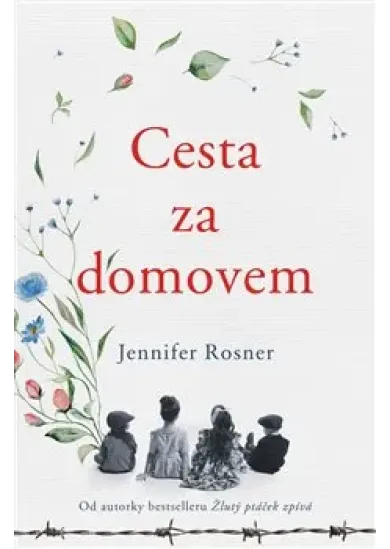 Cesta za domovem