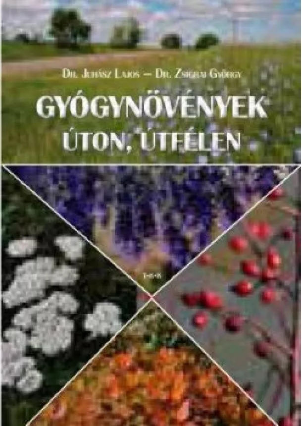 Dr. Juhász Lajos - Gyógynövények úton, útfélen